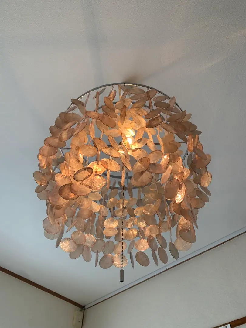 大きめサイズ◾️貝殻シェル 天井照明 ペンダントライト シェルランプ シャンデリア 楽天市場】【送料無料】特典付き！シェルランプ Shell Lamp[LCPL