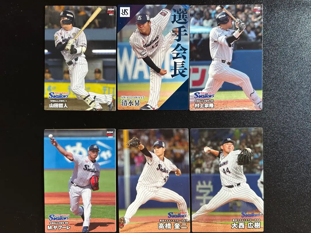Thumbnail of Tokyo Yakult Swallows Professional Baseball Chips Card