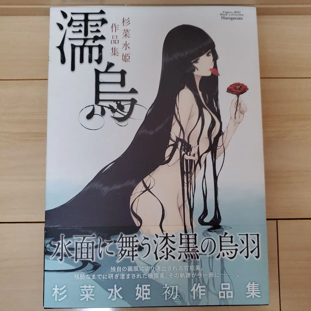 【貴重】殻ノ少女画展 図録 杉菜水姫 Innocent Grey 殻ノ少女画展 図録 杉菜水姫 Innocent Grey スギナミキ