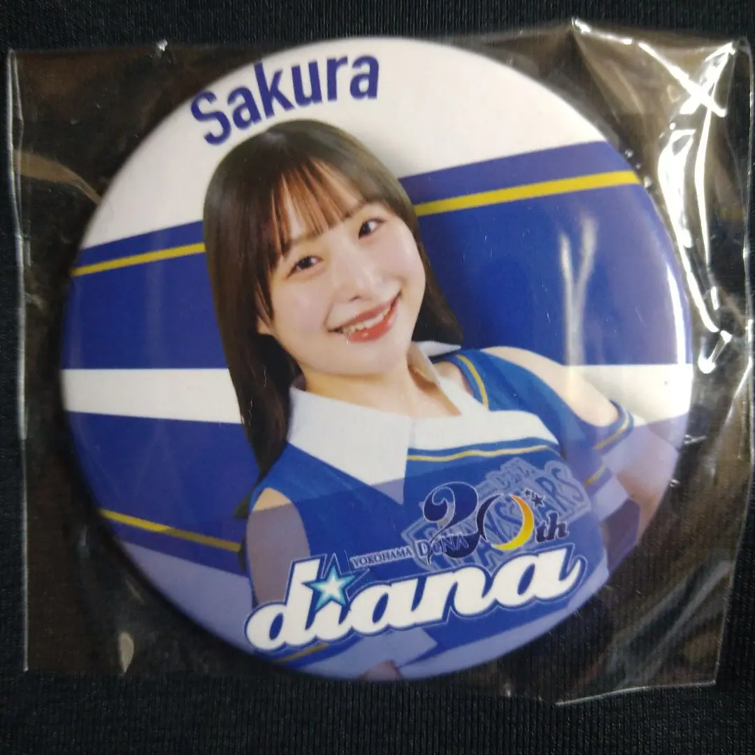 diana Rei うちわ アクキー 缶バッジ セット アクスタ 2025年最新】Diana ベイスターズ sakuraの人気アイテム - メルカリ