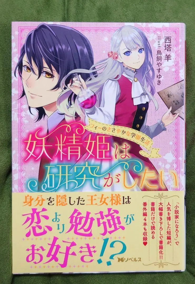 Thumbnail of The Fairy Princess Wants to Study: Fee's Modest School Life