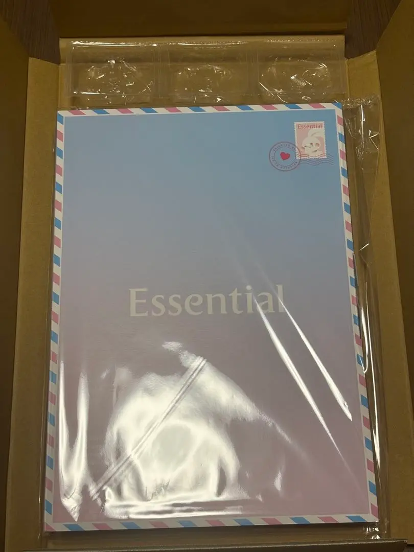 New Jeans エッセンシャル　ポスターセット　非売品 激レア 花王 newjeans NJZ essential ポスター - メルカリ
