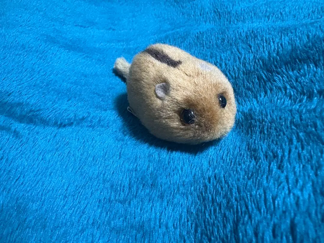 やまね工房 Cotton（コットン）| ぬいぐるみ作家 落合けいこ