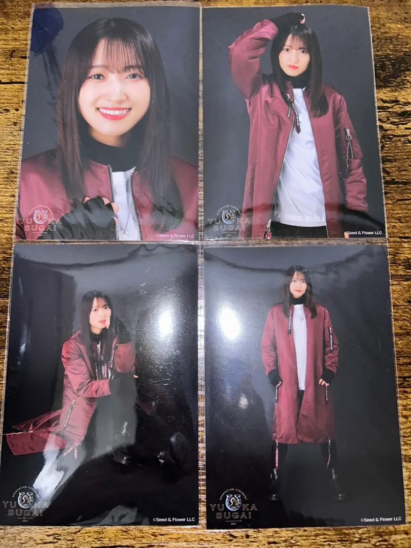 2025年最新】菅井友香 生写真 シークレットの人気アイテム
