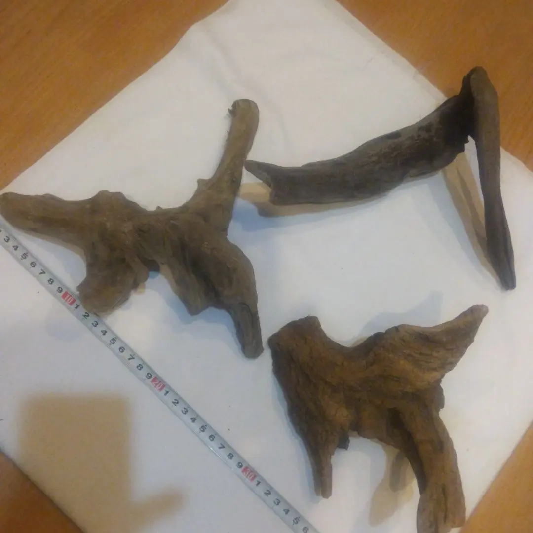 Thumbnail of Driftwood 3 pieces No. 92