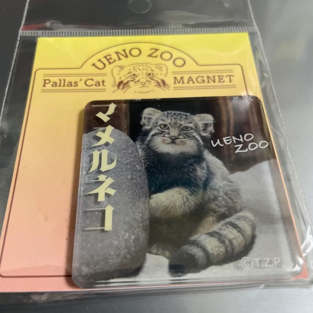 本日限定　動物園限定販売品　マヌルネコ　大きい　ぬいぐるみ　メルカリのみ出品 Amazon.co.jp: 旭山動物園 限定 お土産 マヌルネコ コースター