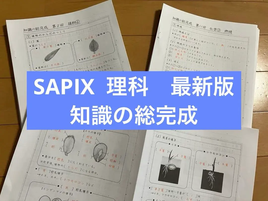 2025年2月終了　サピックス　6年　土特　開成　社会　知識の総完成 2025年2月終了 サピックス 6年 土特 開成 社会 知識の総完成