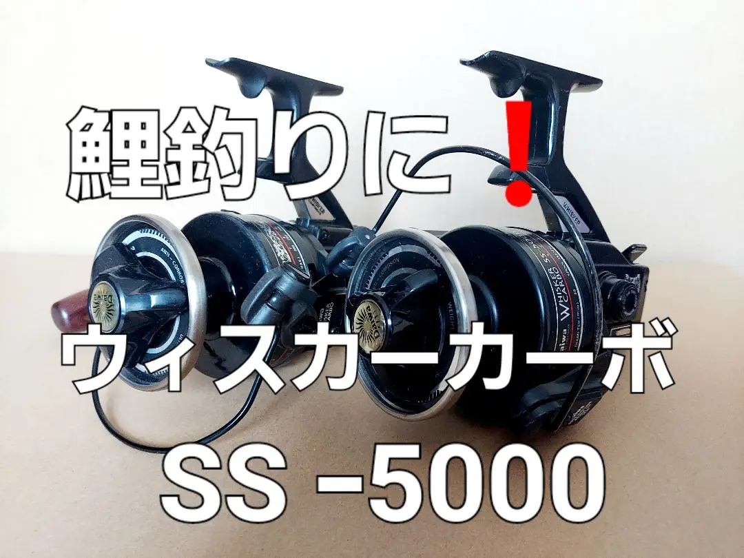 ダイワ PG波濤 5号54G 未使用品2本セット 鯉釣り 鯉竿（2025年