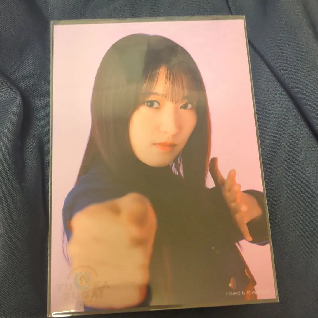 櫻坂46 菅井友香 卒業コンサート 生写真 4種 コンプ 不協和音 シークレット 2025年最新】菅井友香 生写真 シークレットの人気アイテム