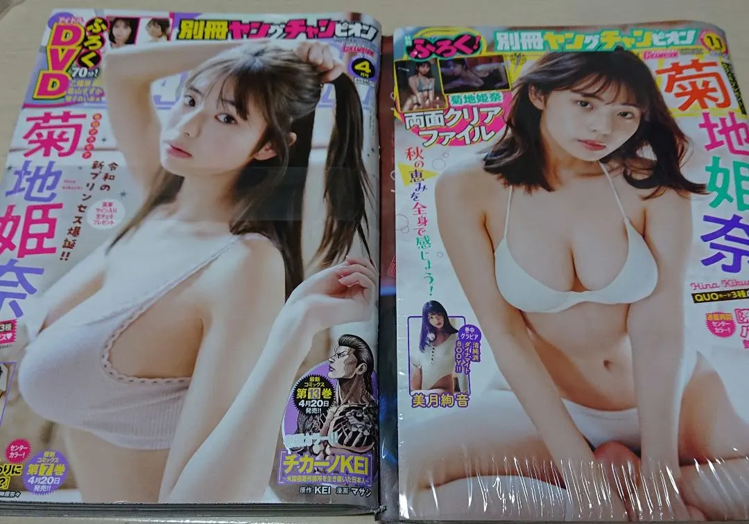 Thumbnail of Young Champion Bessatsu 2023 April Issue & November Issue, Hina Kikuchi, 2-book set