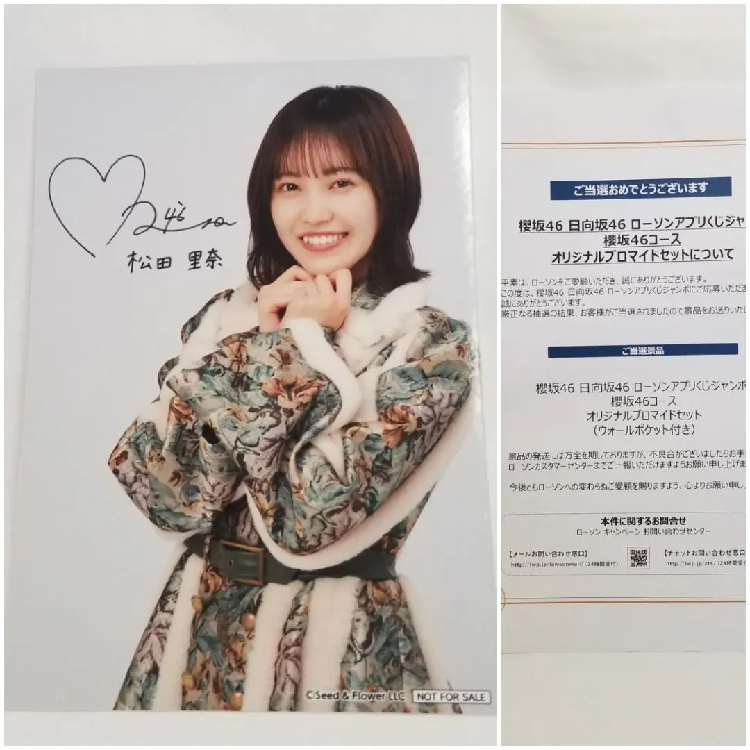 日向坂46ブロマイドコンプリートセット（31枚掲出可能なウォールポケット付） 日向坂46ブロマイドコンプリートセット（31枚掲出可能なウォール