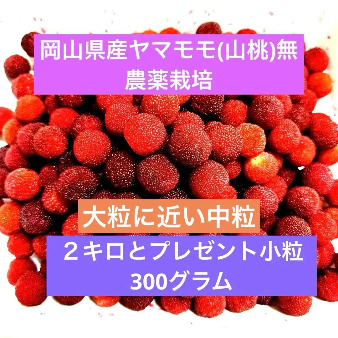 ヤマモモ 1kg 岡山県産 （特大サイズ 500ｇ 中500ｇ）無農薬 2025年最新】ヤマモモ 大粒の人気アイテム - メルカリ