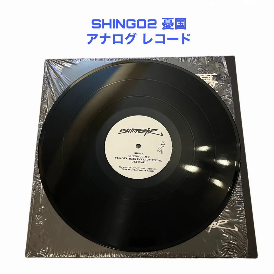 2025年最新】shingo2 レコードの人気アイテム - メルカリ