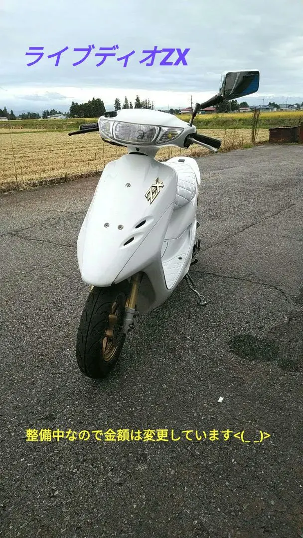 しろまるさま　専用 しろまるさま 専用 しろ様 ホンダ（HONDA） スーパーディオZX