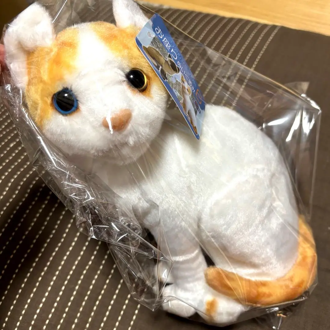 リアルアニマル猫お座りぬいぐるみ　全5種セット 猫グッズ」リアルアニマル猫お座りぬいぐるみ5の商品ページ｜卸