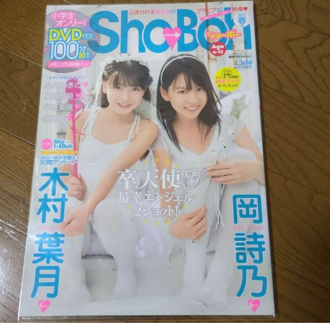 Sho Boh vol.26 DVD ショーボー岡詩乃木村葉月