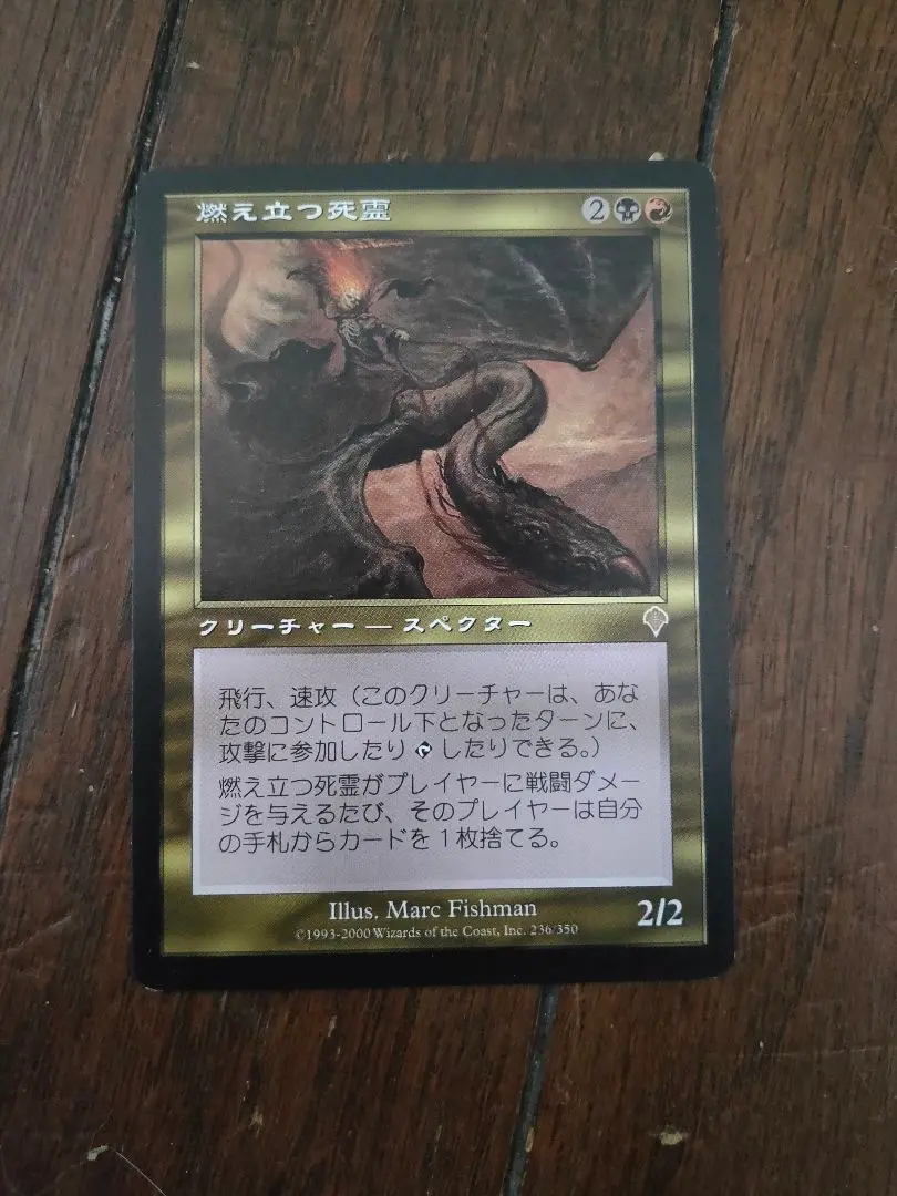 堕ちたる者ヴォルラス　foil 日本語 日)墜ちたる者ヴォルラス / Volrath the Fallen【NEM】 【Foil
