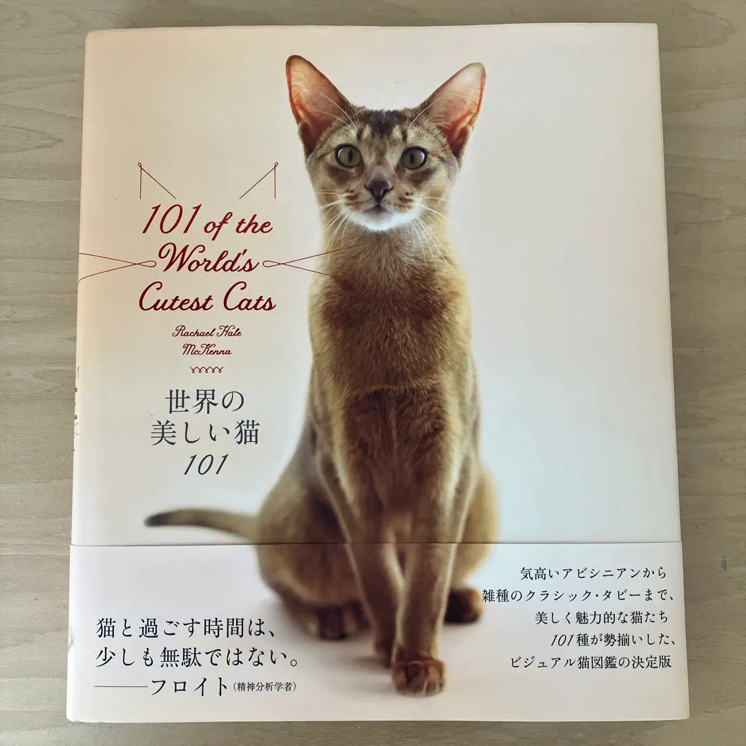 2025年最新】レイチェルヘイルの人気アイテム - メルカリ