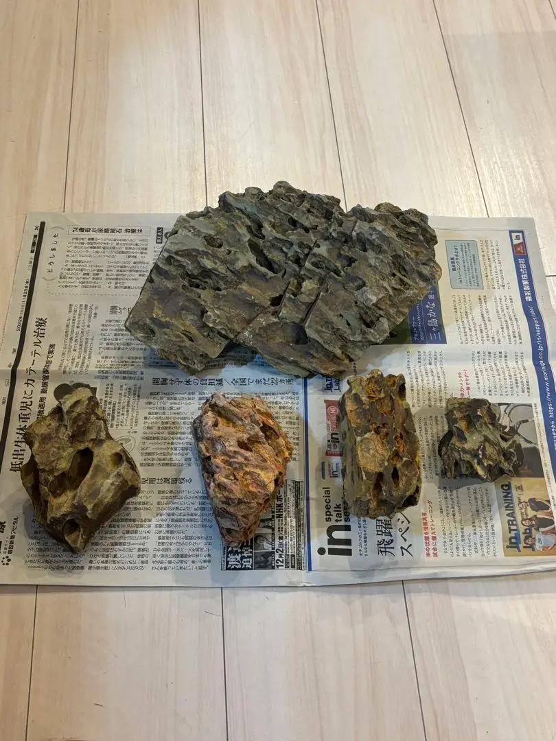 【アクアリウム】陽火石（気孔石）【新品未使用】 チャーム（ペット） 形状お任せ 陽火石 サイズミックス 10kg
