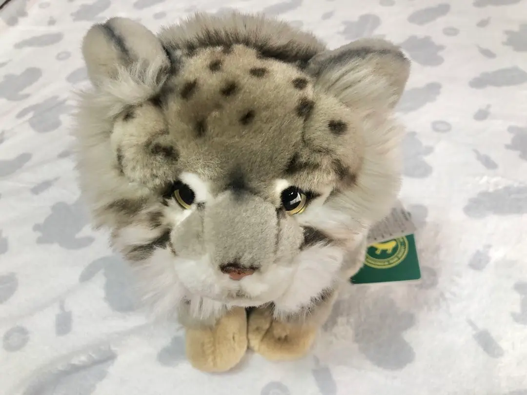 本日限定　動物園限定販売品　マヌルネコ　大きい　ぬいぐるみ　メルカリのみ出品 本日限定 動物園限定販売品 マヌルネコ 大きい ぬいぐるみ