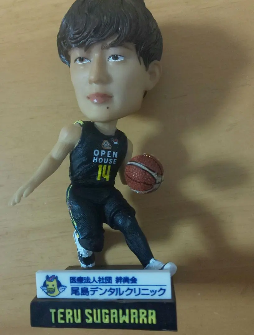 【新品未使用】バスケットボール　ユニフォーム　2024-25 #14 菅原暉 943d563ee287ff8615be1b281993f0