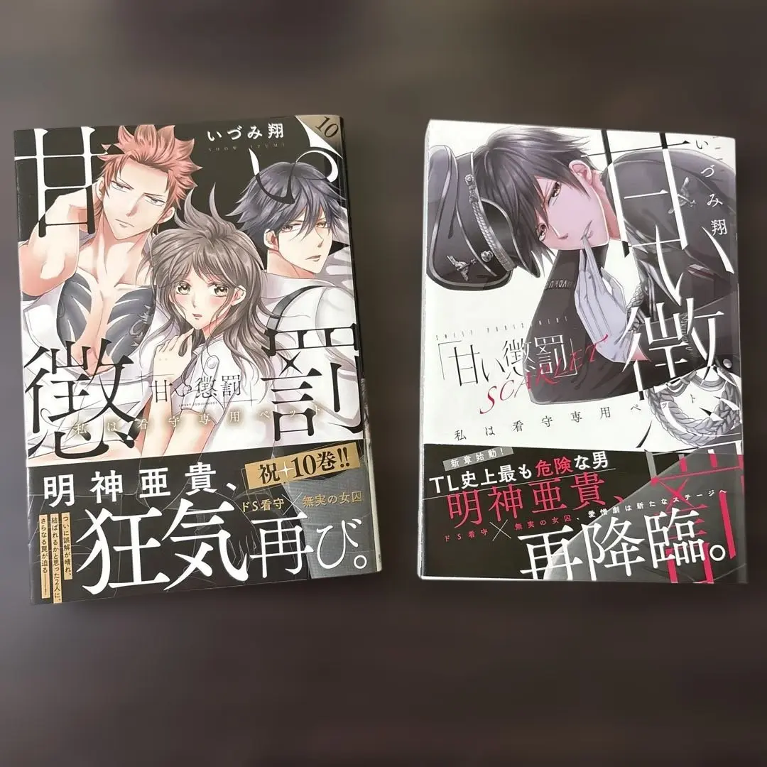 いづみ翔/甘い懲罰1〜10巻＋SCARLET2巻(11冊おまけ4コマ) 甘い懲罰～私は看守専用ペット コミック 1-10巻セット |本