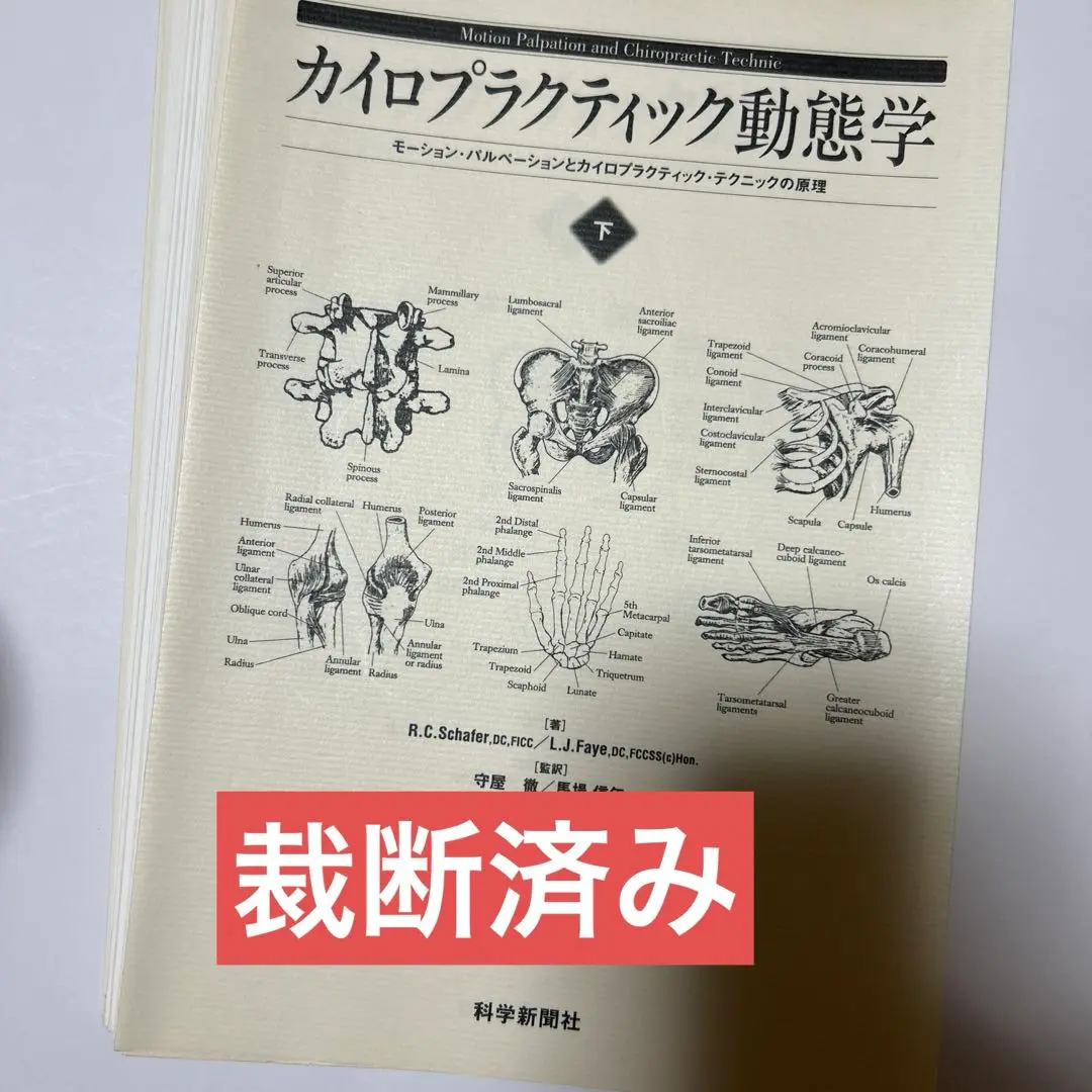 裁断済　カイロプラクティック動態学　下巻 2025年最新】カイロプラクティック動態学の人気アイテム - メルカリ