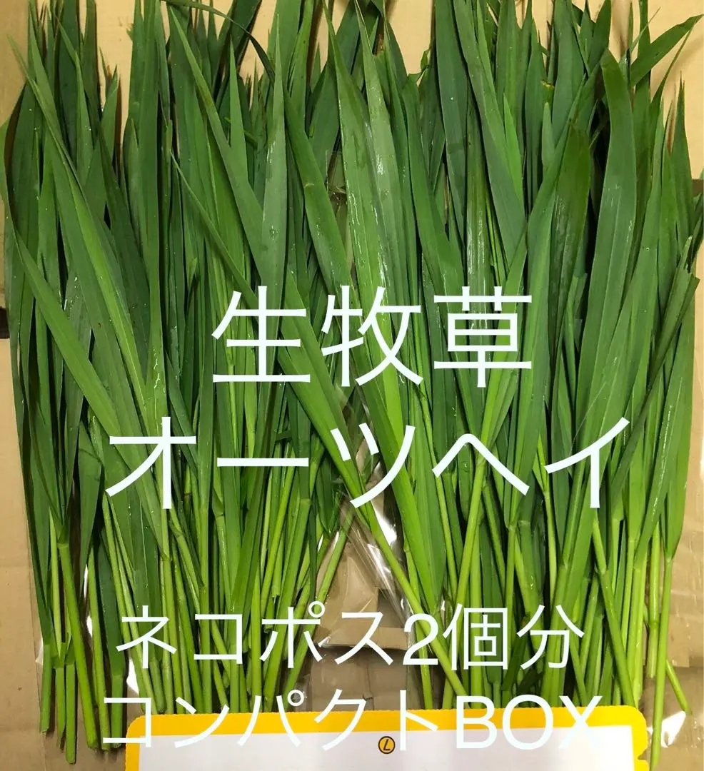 生牧草燕麥草2組迷你盒 的縮圖