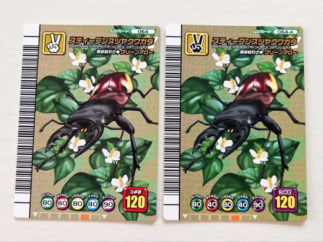 Amazon.co.jp: 甲虫王者 ムシキング セアカフタマタクワガタ 5