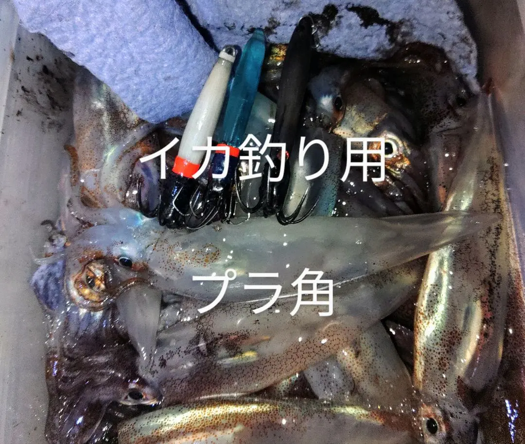 【jun】イカ釣り用マグナム8本 2025年最新】イカ釣り マグナムの人気アイテム - メルカリ