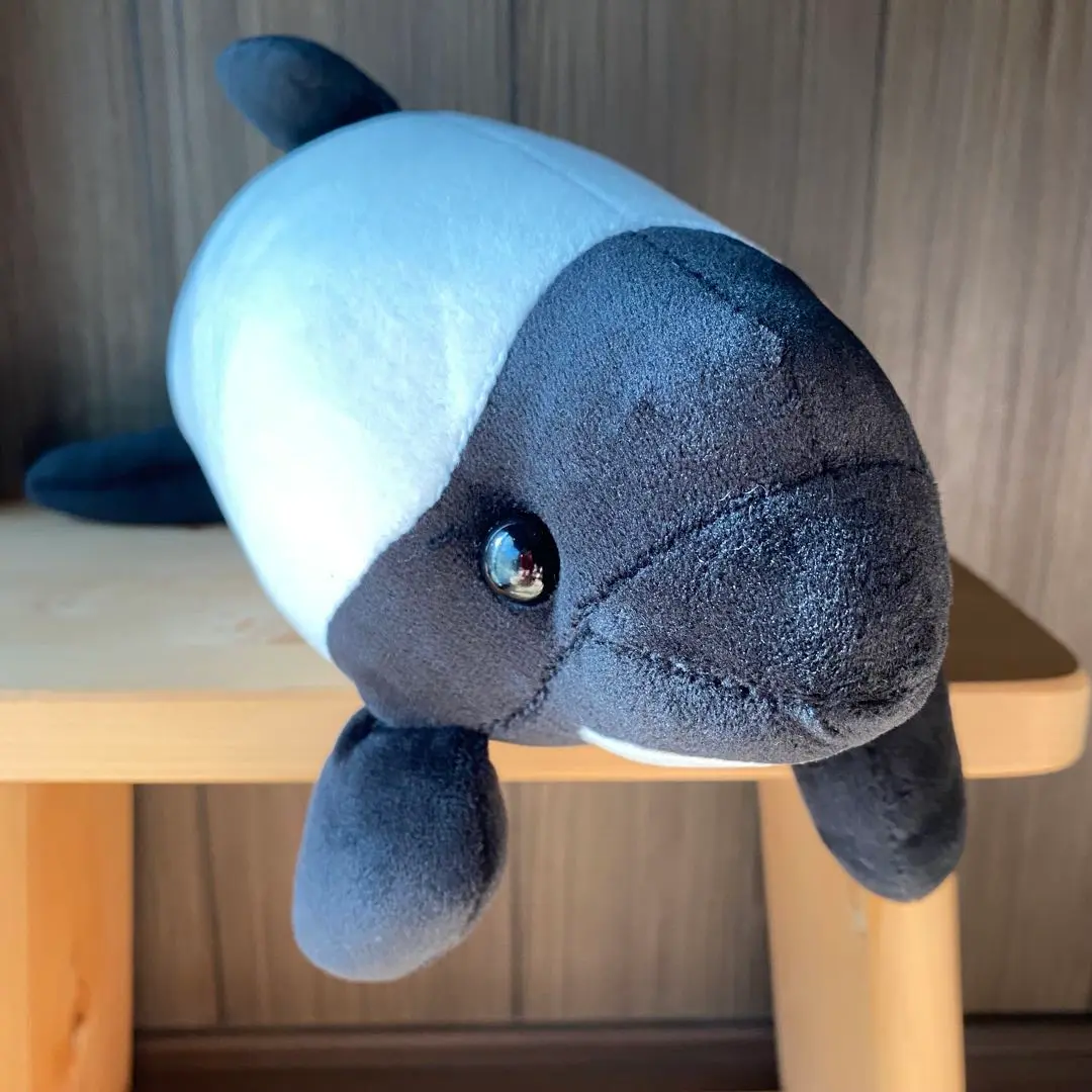 仙台うみの杜水族館 キュート イロワケイルカ ぬいぐるみ グッズ クッション 仙台うみの杜水族館 キュート イロワケイルカ ぬいぐるみ グッズ