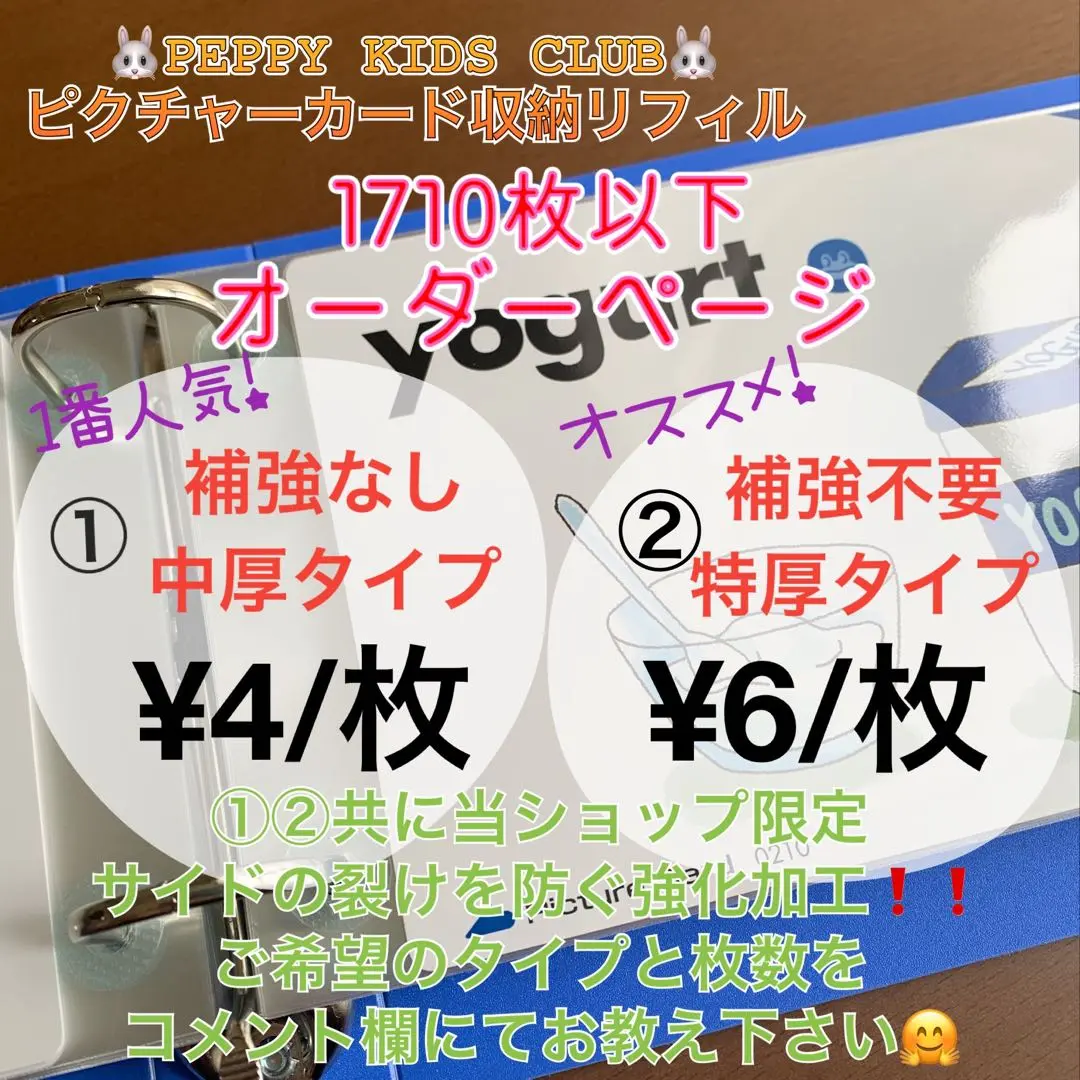 在庫整理 セール価格 ペッピーキッズ ピクチャーカード 収納袋 背表紙＆リフィル 在庫整理 セール価格 ペッピーキッズ ピクチャーカード 収納袋