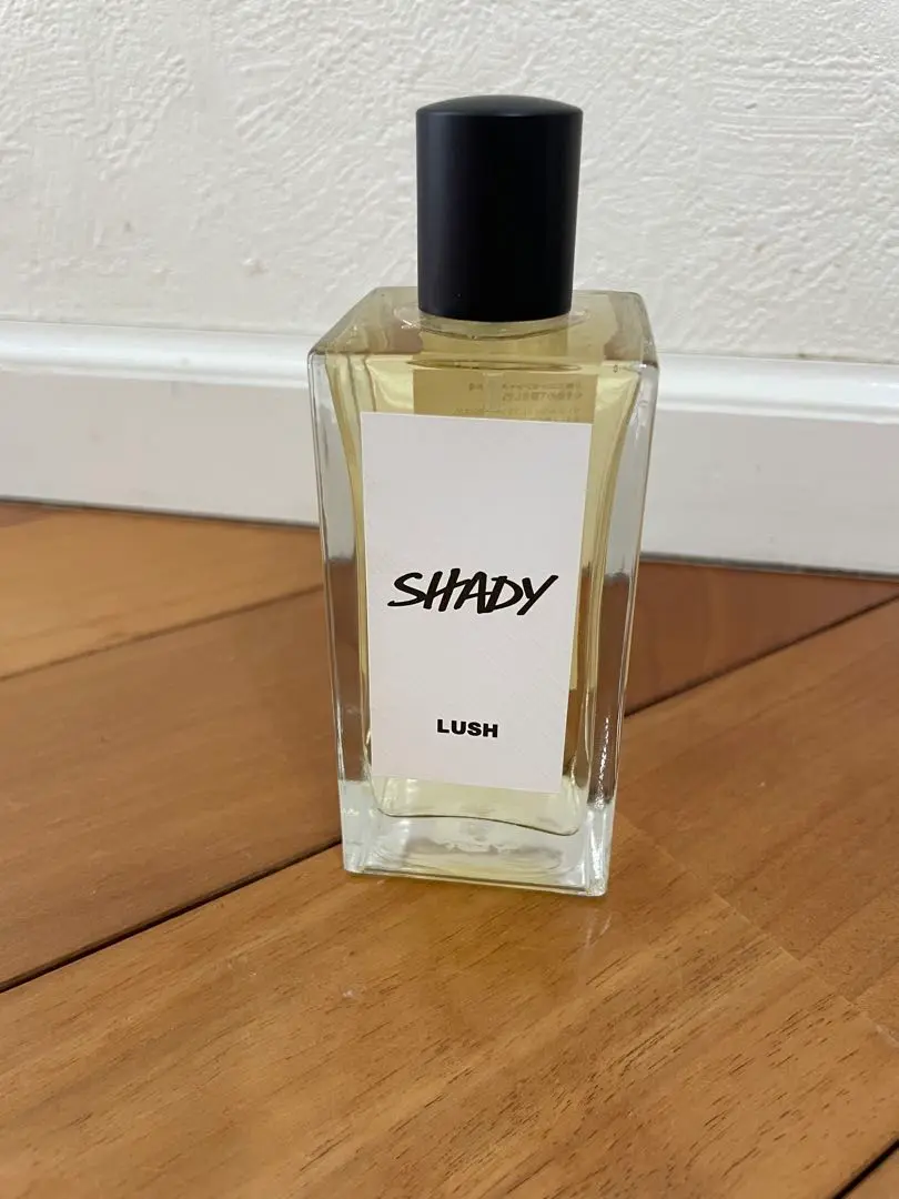 2025年最新】shady lushの人気アイテム - メルカリ
