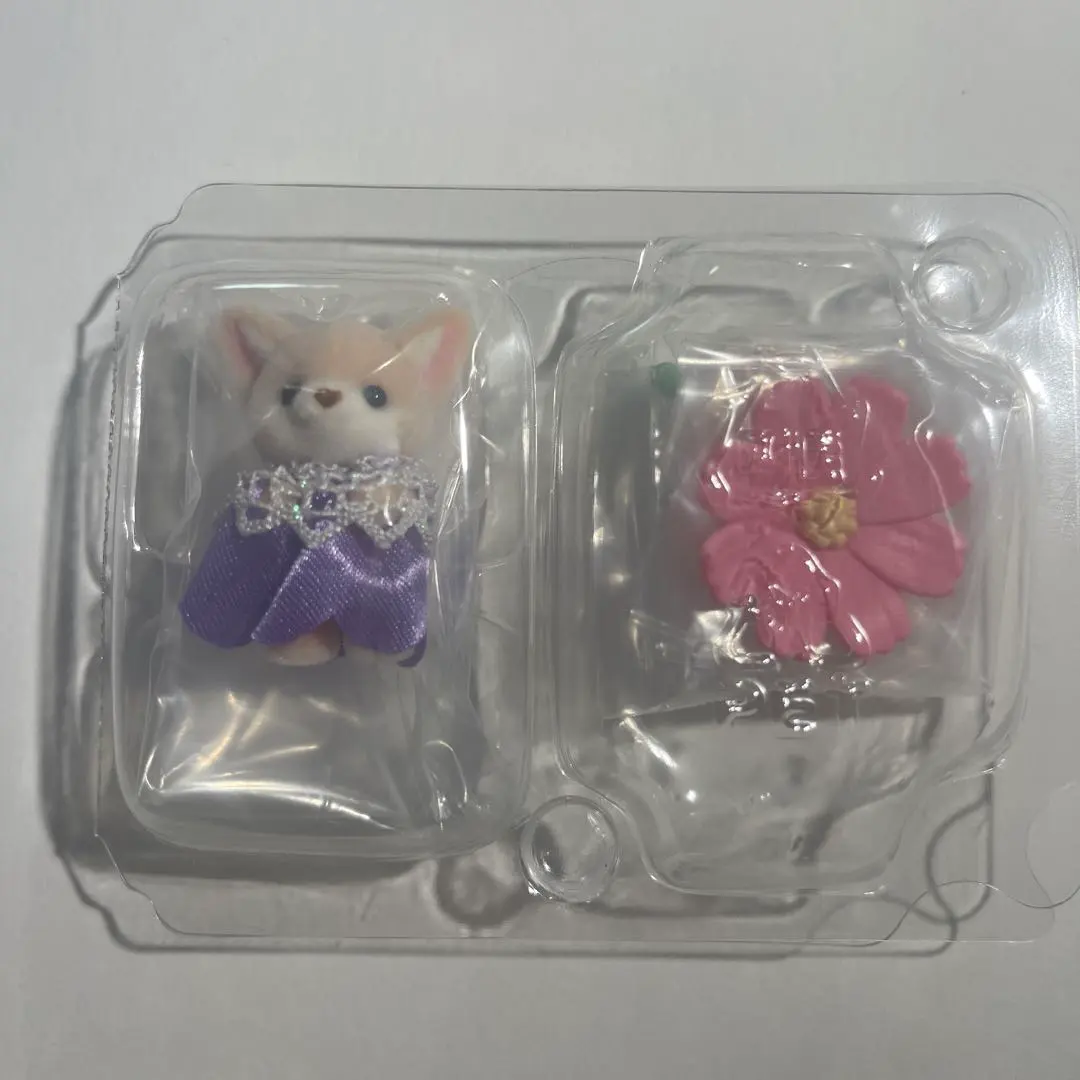 寶寶收藏 費內克的小寶寶 的縮圖