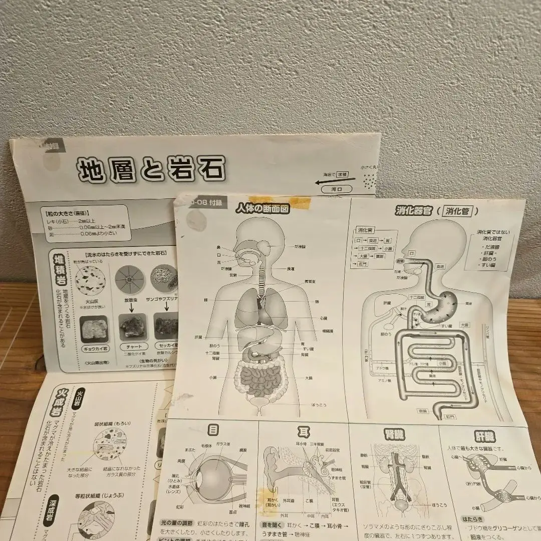 SAPIX 理科ポスター全6枚　社会歴史暗記カード SAPIX 理科ポスター全6枚社会歴史暗記カード