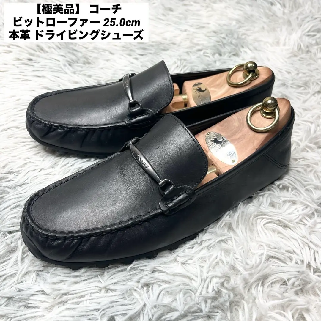 2025年最新】COACH カラー：ブラック系 ローファーの人気