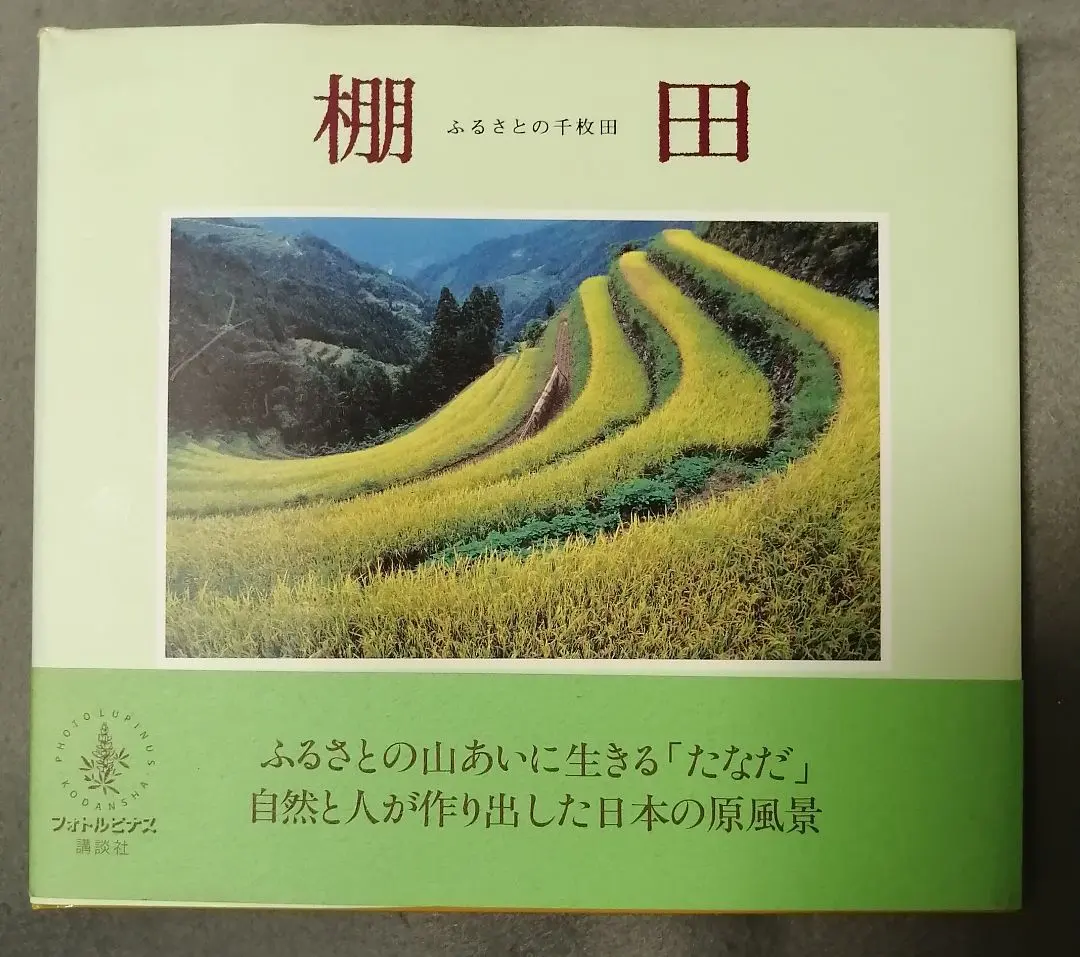 Thumbnail of Rice Terraces: A Hometown's Thousand Rice Fields - Photo Collection