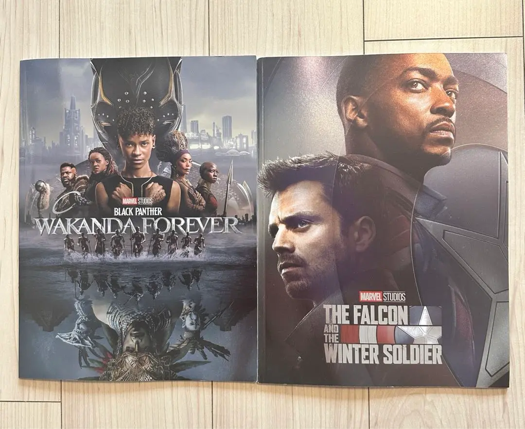 ファルコン＆ウィンター・ソルジャー』映画パンフレット・角2号