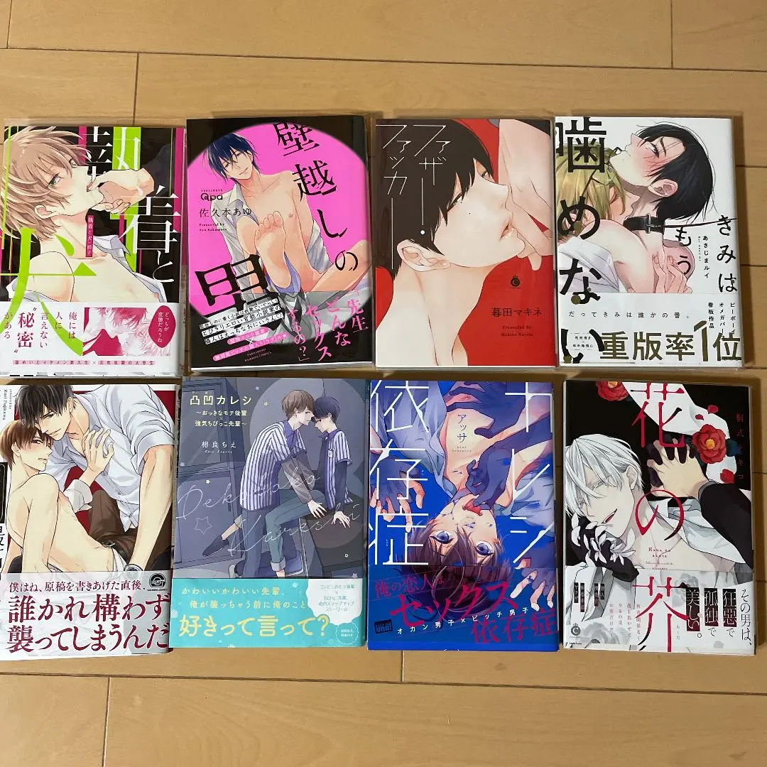 Thumbnail of BL Comic 16-Book Set