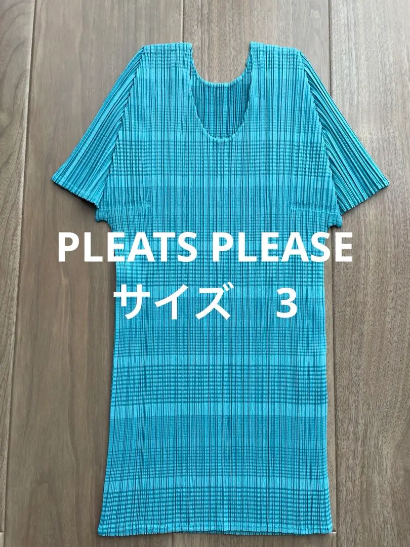PLEATS PLEASE 半袖Tシャツ 青 PLEATS PLEASE ISSEY MIYAKE（Tシャツ(半袖/袖なし) ・ ブルー