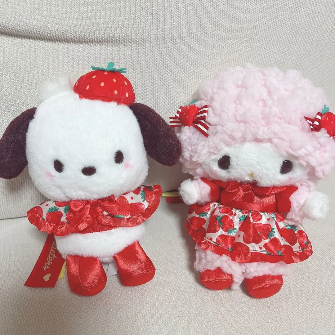 あのちゃんセット あのちゃんの古着とチェキ・ポチャッコその他 元ゆるめるモ あのちゃん チェキ ゆるめるモ！ - メルカリ