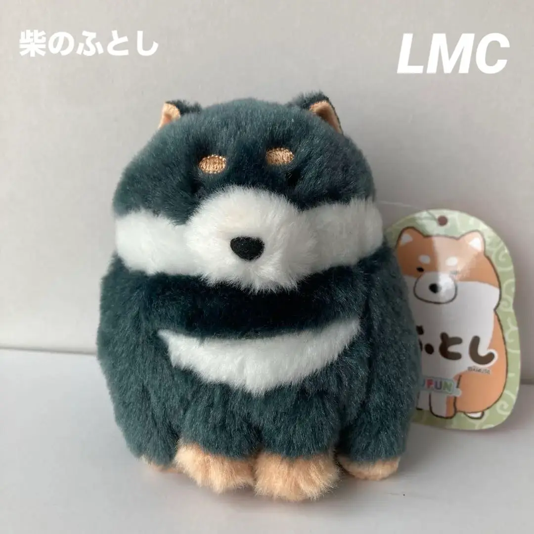 柴のふとし  STコンプリート 柴のふとし STコンプリート