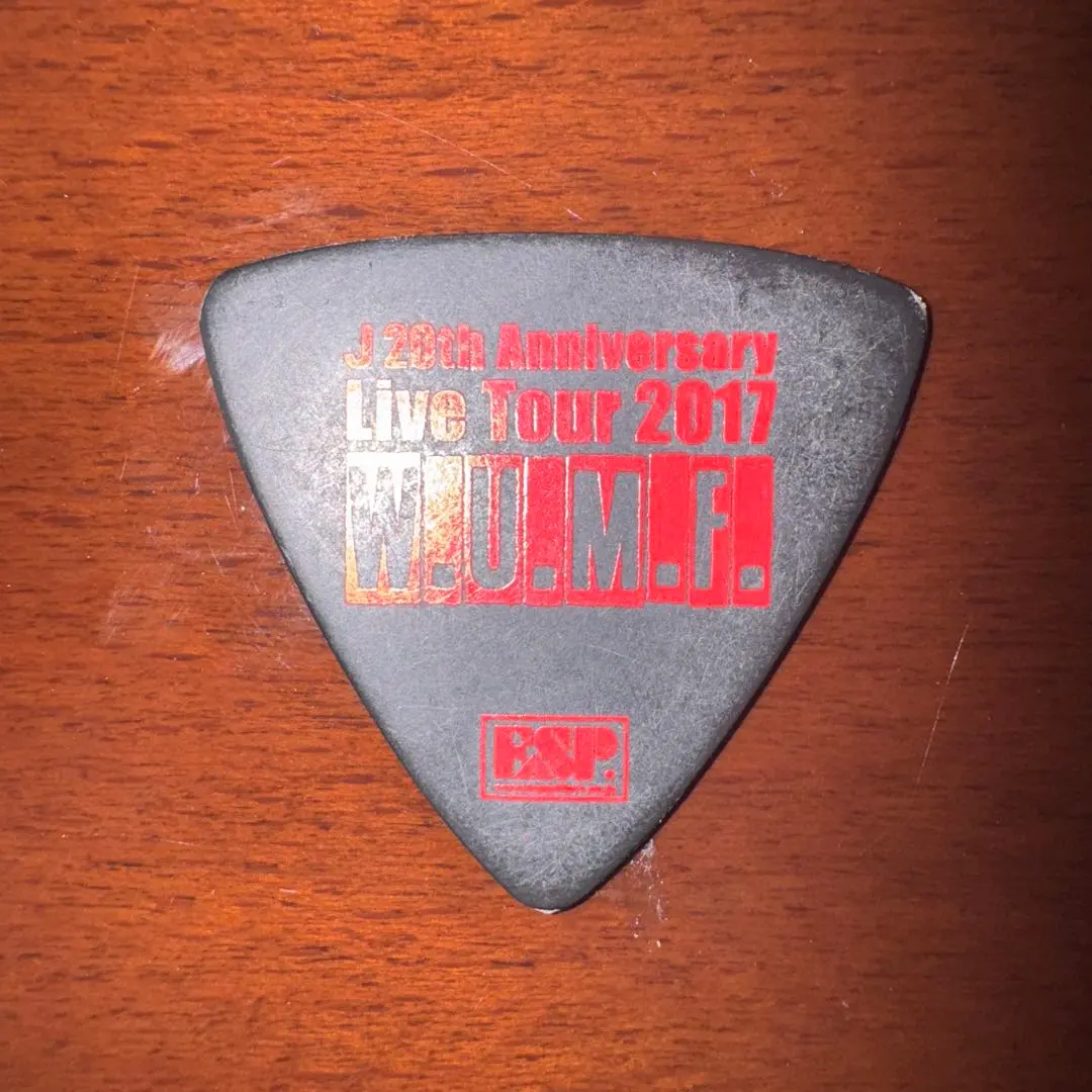 LUNA SEA   本人使用ピック LUNA SEA DEBUT TOUR 1992 IMAGE or REAL｜LUNA SEA PICK collection