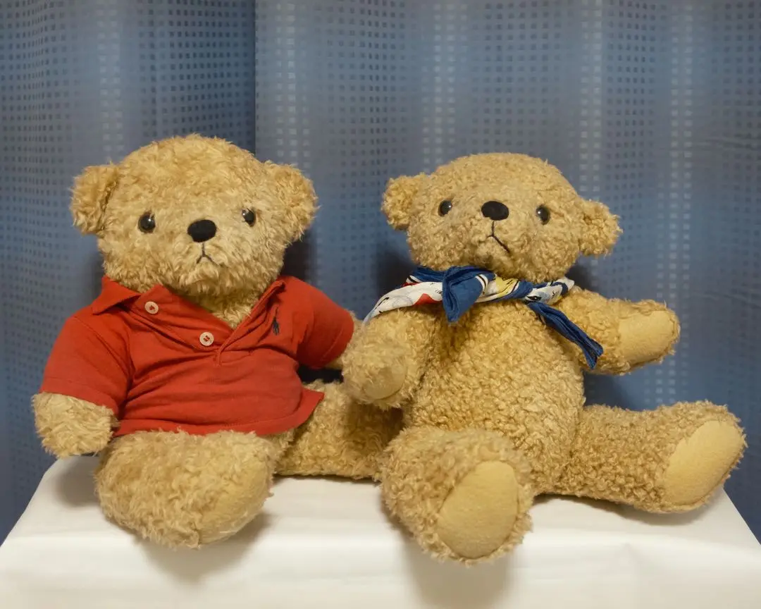 【sale❗️希少】ラルフローレン・ポロベアぬいぐるみ2個セット 2025年最新】POLO RALPH LAUREN ぬいぐるみ本体の人気アイテム