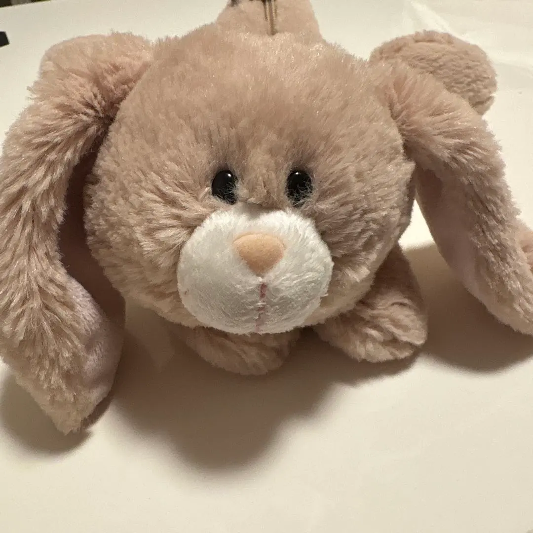 ニキ　nici　ユキウサギ　ぬいぐるみ nici NICI ニキ フィギュア ポーチ ユキウサギ アニマル ペン