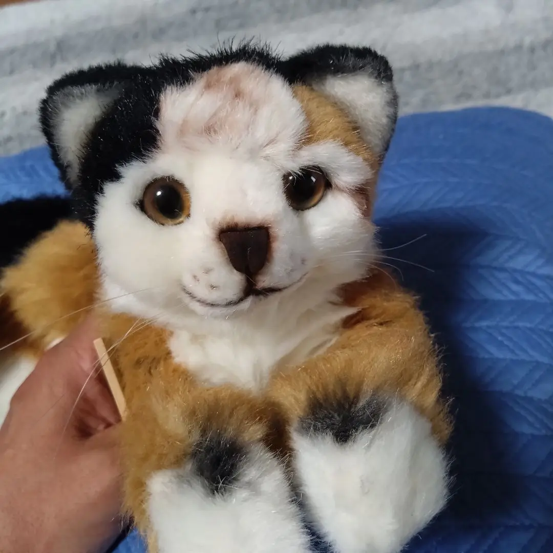 ケーセン　三毛猫　ぬいぐるみ　ネコ　kosen Amazon.co.jp: ケーセン kosen ネコ ねこ 猫 三毛猫 にゃんこ