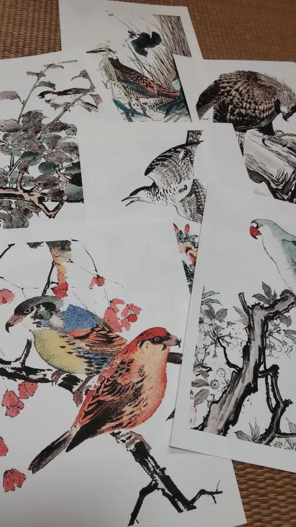 格安販売の 2025年最新】景年花鳥画譜の人気アイテム メルカリ - アート・デザイン・音楽