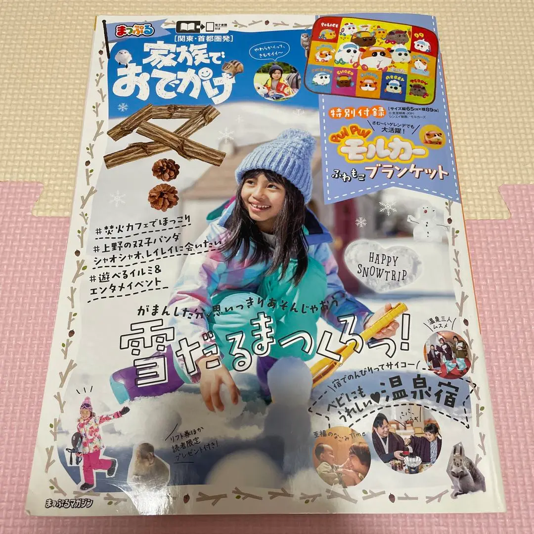 【超レア】スキーまっぷる 2002　関東甲信越 東北 超レア】スキーまっぷる 2002関東甲信越 東北