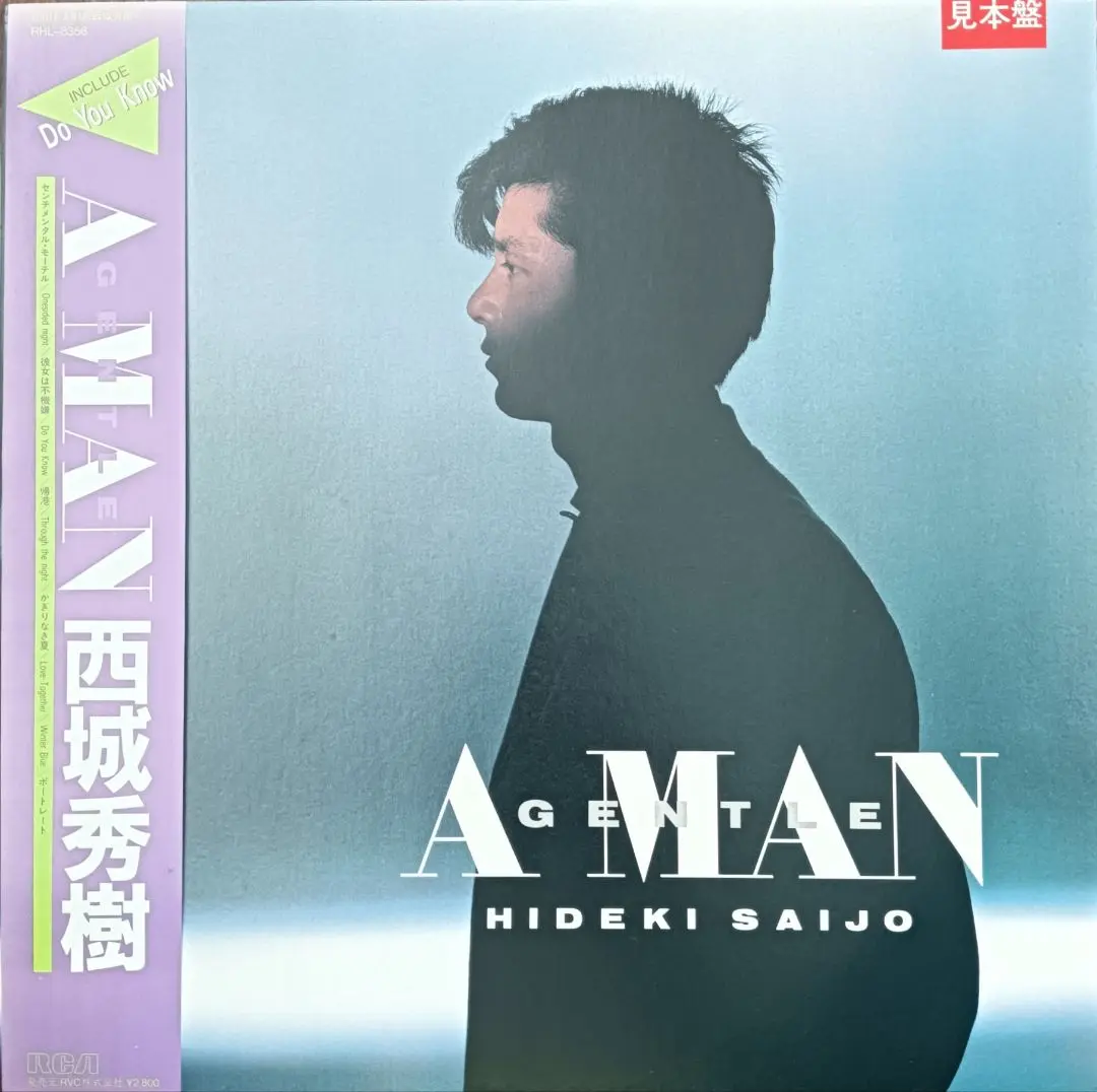 レア 非売品  角松敏生 The gentle sex　告知ポスター B2 THE GENTLE SEX/角松敏生 角松敏生 - 中古オーディオ 高価買取