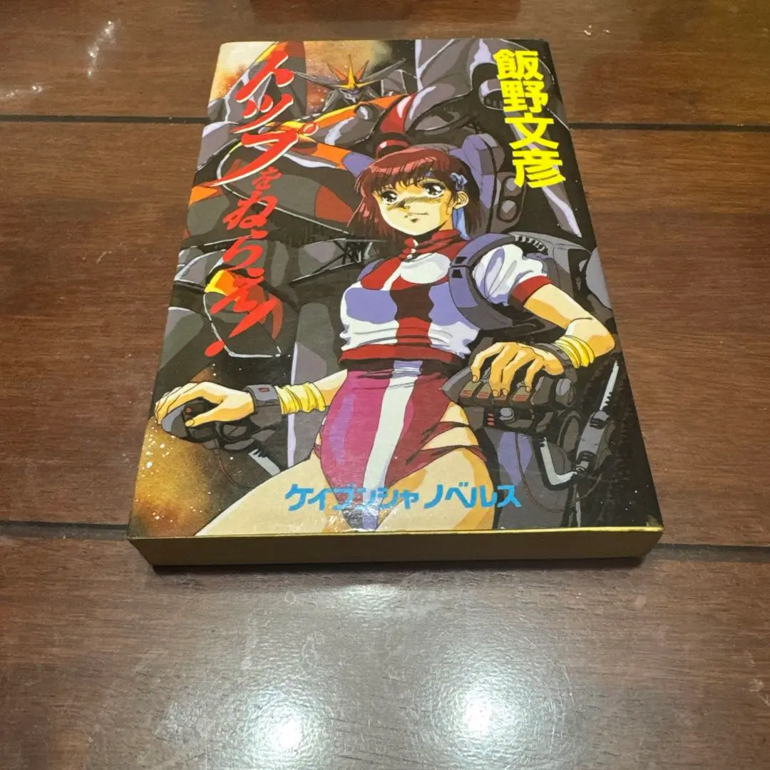 さよならの向こう側 氷原公魚 ケイエスエスノベルズ